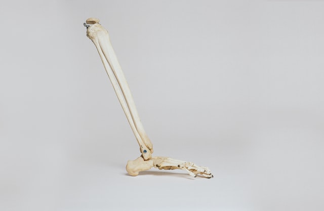 ウォーキングやランニングをする上で整えておくべき膝に関わる部位の柔軟性。足首。