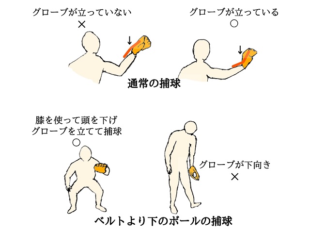 親子で押さえたい守備職人宮本慎也氏の教えるキャッチボールのポイント。グローブは立てて、膝を使ってとる