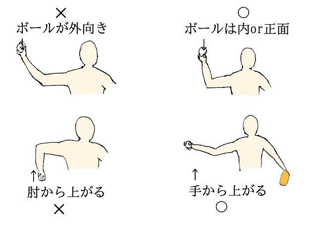 親子で押さえたい守備職人宮本慎也氏の教えるキャッチボールのポイント。ボールは外に向けず、手から上げる