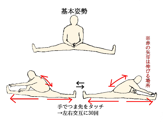 基本姿勢は床に足をなるべく広く開げて座る。ストレッチの手順は①手を伸ばしてつま先や足の甲をタッチする
②左右交互に30回くらい続ける③次につま先に手を伸ばして30秒キープ④反対も同様に30秒キープ⑤最後に両手を前に体ごと持って行き30秒キープ