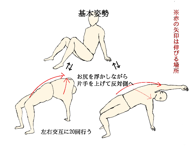 マトリックスの基本の姿勢は①床にお尻をつけ、体は起こし、両手・両足は床につける②お尻を浮かしてブリッジする。ストレッチの手順は①基本の姿勢①から、お尻を浮かしながら片手を反対側にまわす
→長く息を吐きながら行い、最終域で3秒とめる②お尻と手を戻して基本の姿勢①へ③左右交互に20回行う